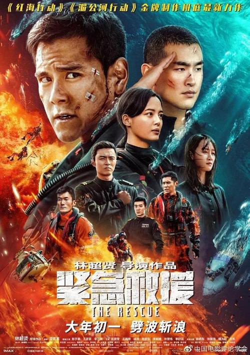 假比利时销售护照